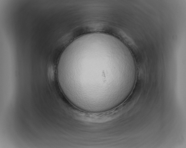 X0000110860026200906251217