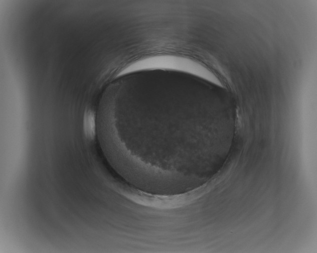 X0000110860027200906251217