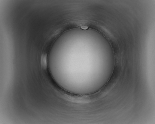 X0000110860028200906251217