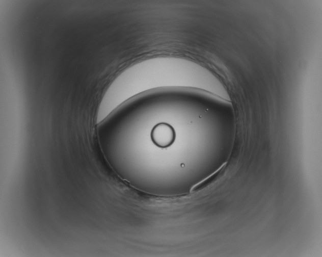 X0000110860029200906251217