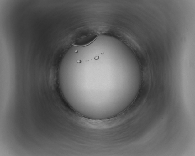 X0000110860030200906251217