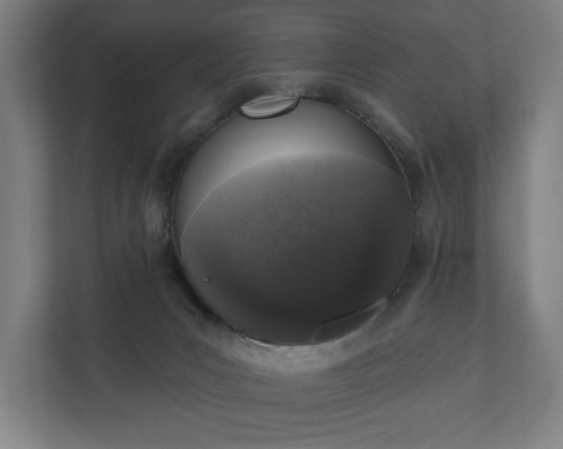 X0000110860031200906251217