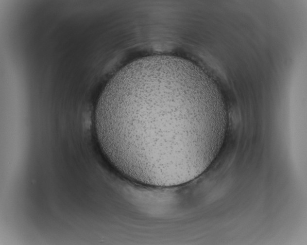 X0000110860032200906251217