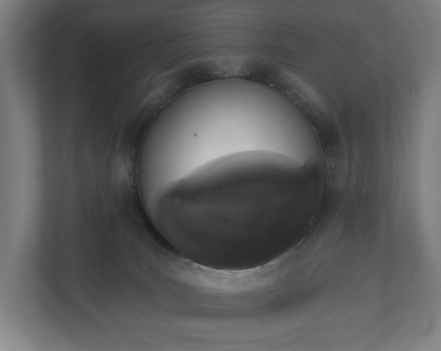 X0000110860035200906251217