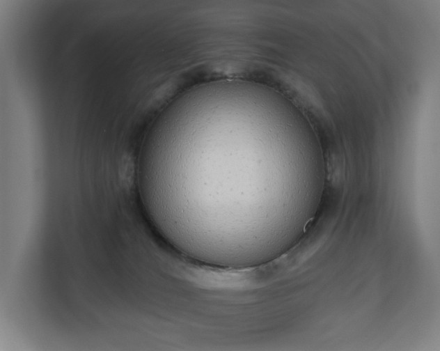 X0000110860036200906251217