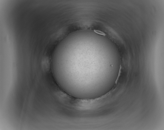 X0000110860037200906251217