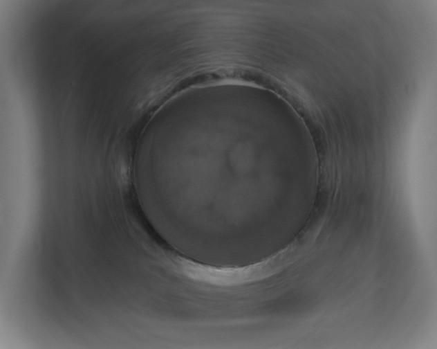 X0000110860039200906251217