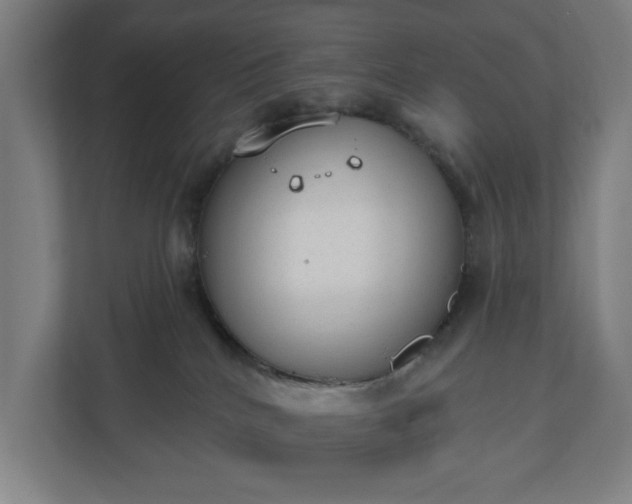 X0000110860040200906251217