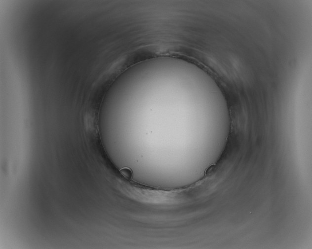 X0000110860044200906251217