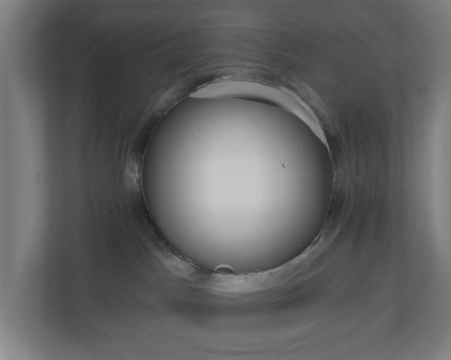 X0000110860045200906251217