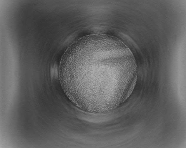 X0000110860046200906251217