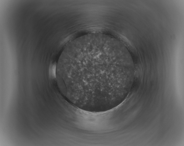 X0000110860047200906251217