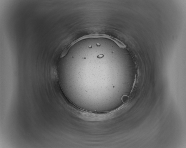 X0000110860048200906251217