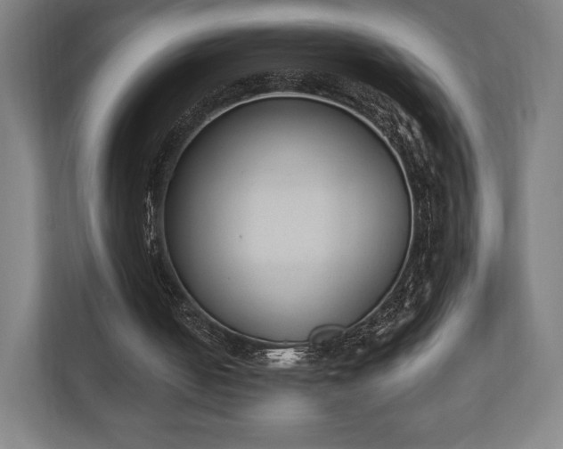 X0000110860050200906251216