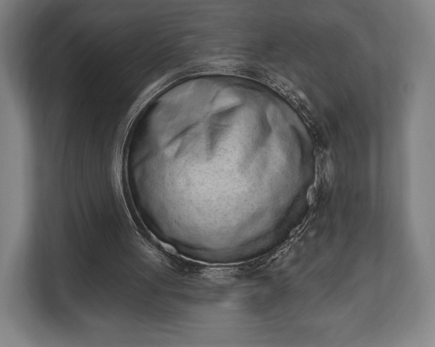 X0000110860051200906251216