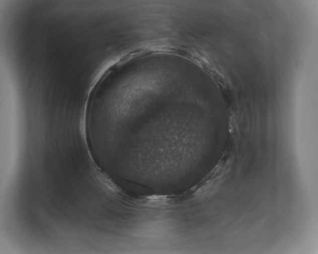 X0000110860052200906251216