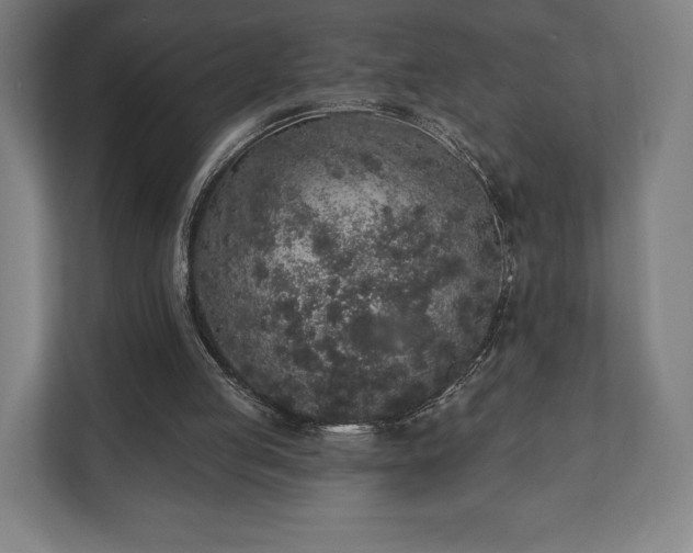 X0000110860053200906251216