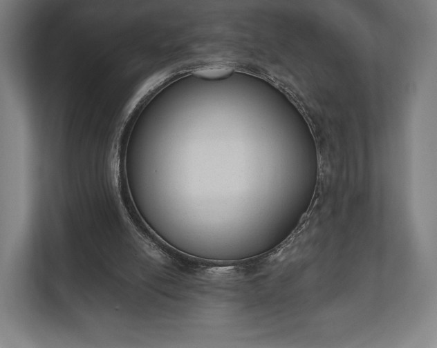 X0000110860054200906251216