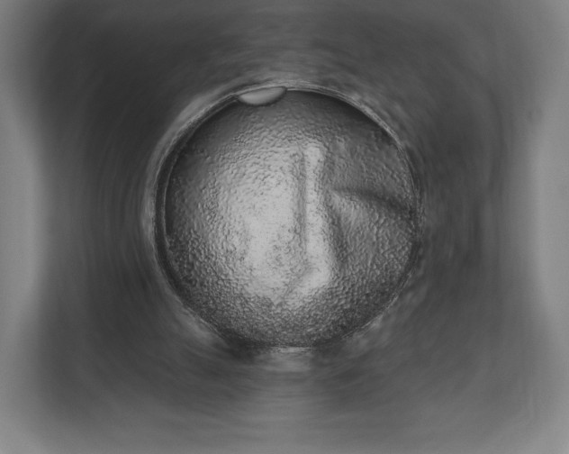 X0000110860055200906251216