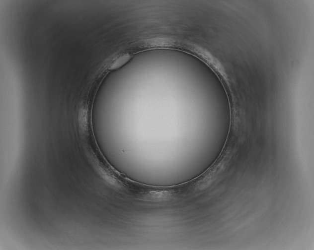 X0000110860057200906251216