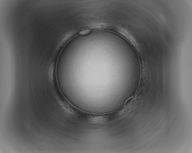 X0000110860058200906251216