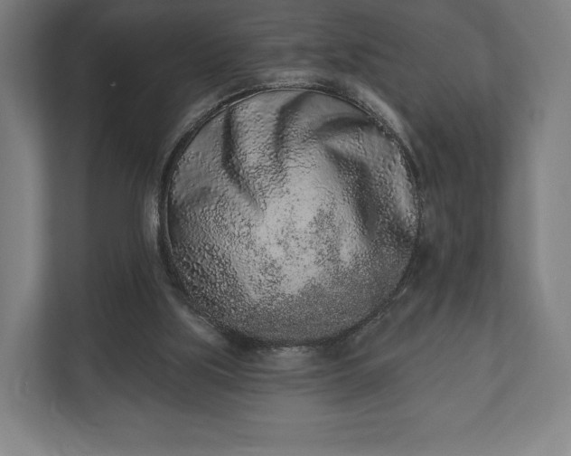 X0000110860059200906251216