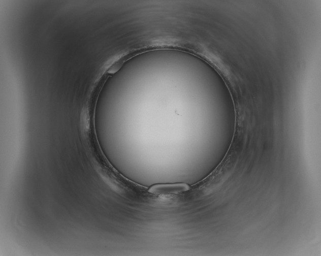 X0000110860060200906251216