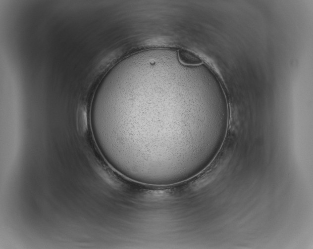 X0000110860061200906251216