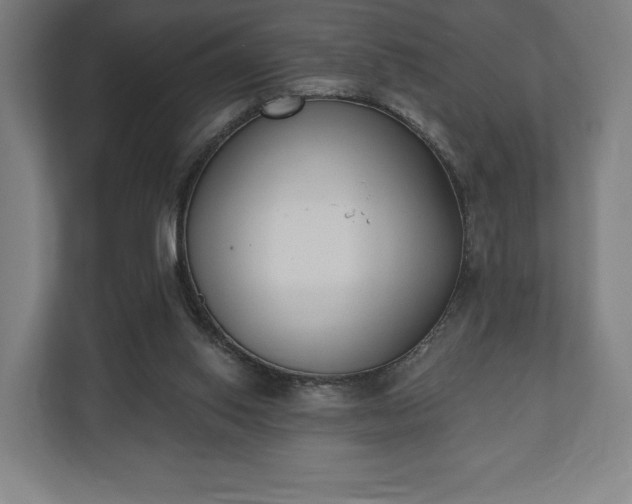 X0000110860062200906251216