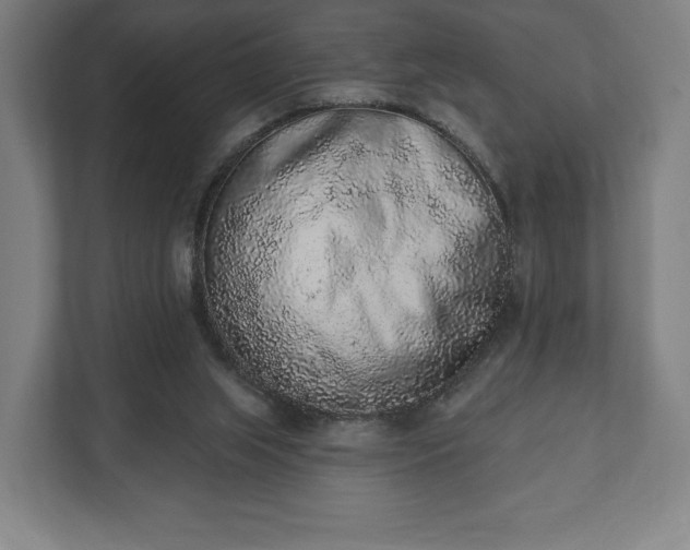 X0000110860063200906251217