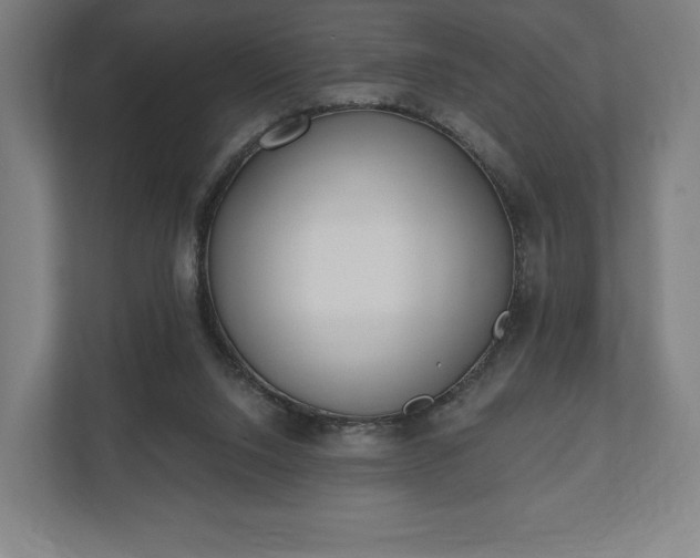 X0000110860064200906251217