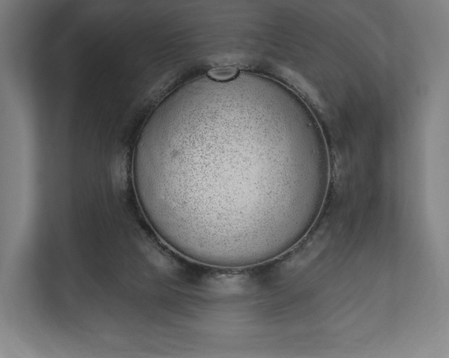 X0000110860065200906251217