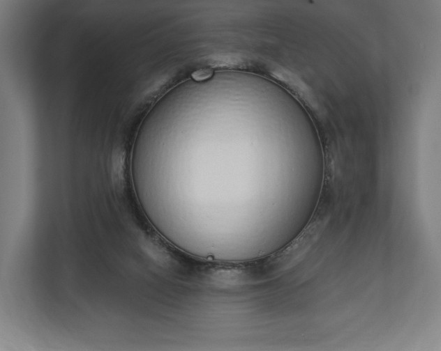 X0000110860066200906251217