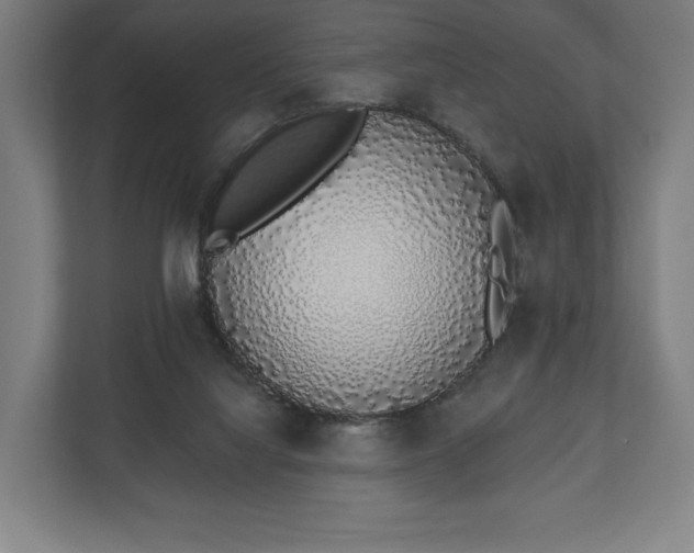 X0000110860068200906251217