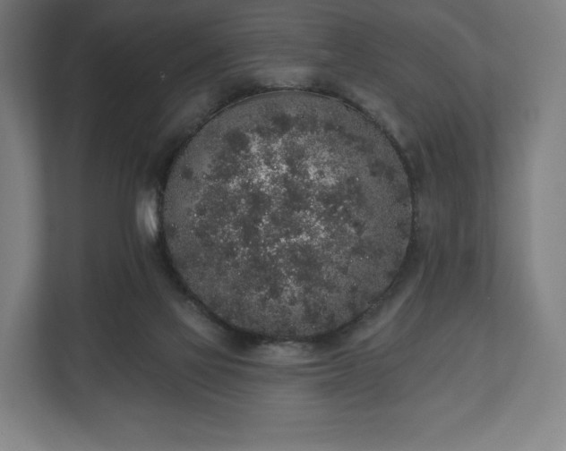 X0000110860069200906251217