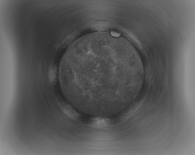 X0000110860073200906251217