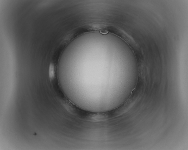 X0000110860075200906251217