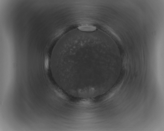 X0000110860076200906251217