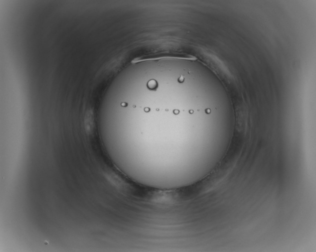 X0000110860077200906251217