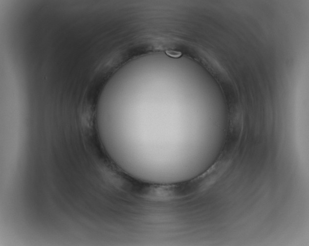 X0000110860078200906251217