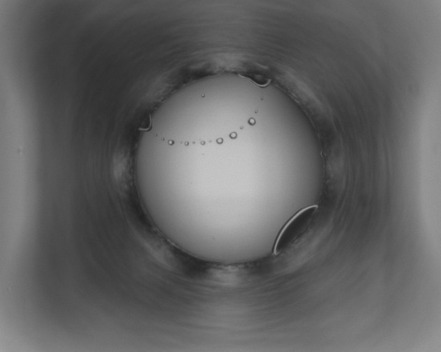 X0000110860079200906251217