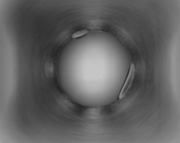 X0000110860084200906251217