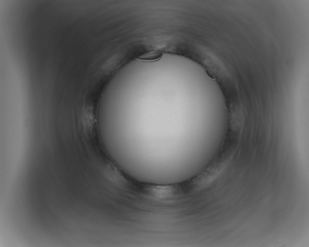 X0000110860085200906251217