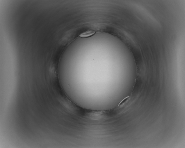 X0000110860086200906251217