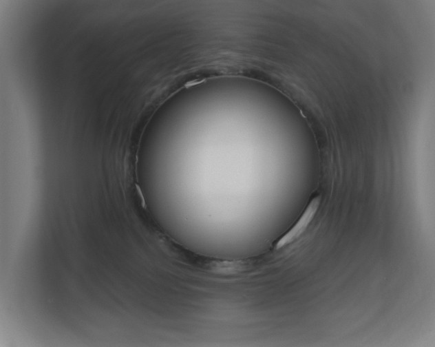 X0000110860088200906251217