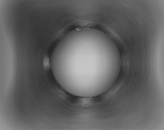 X0000110860089200906251217