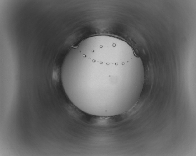 X0000110860090200906251217