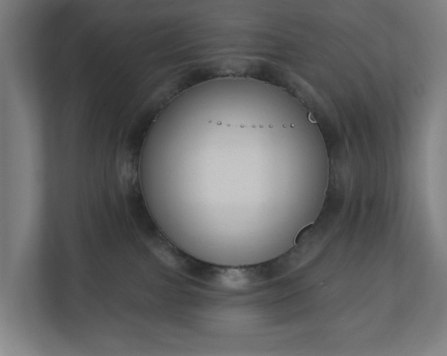 X0000110860091200906251217