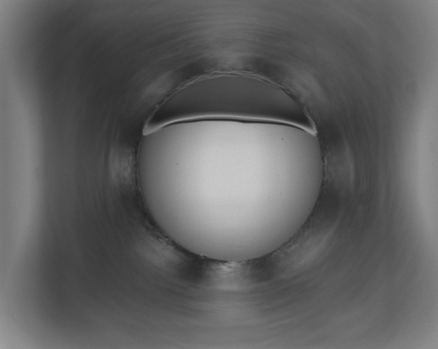 X0000110860092200906251217