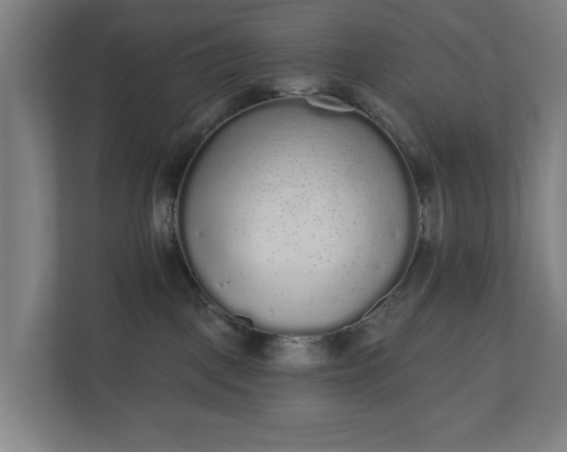 X0000110860093200906251217